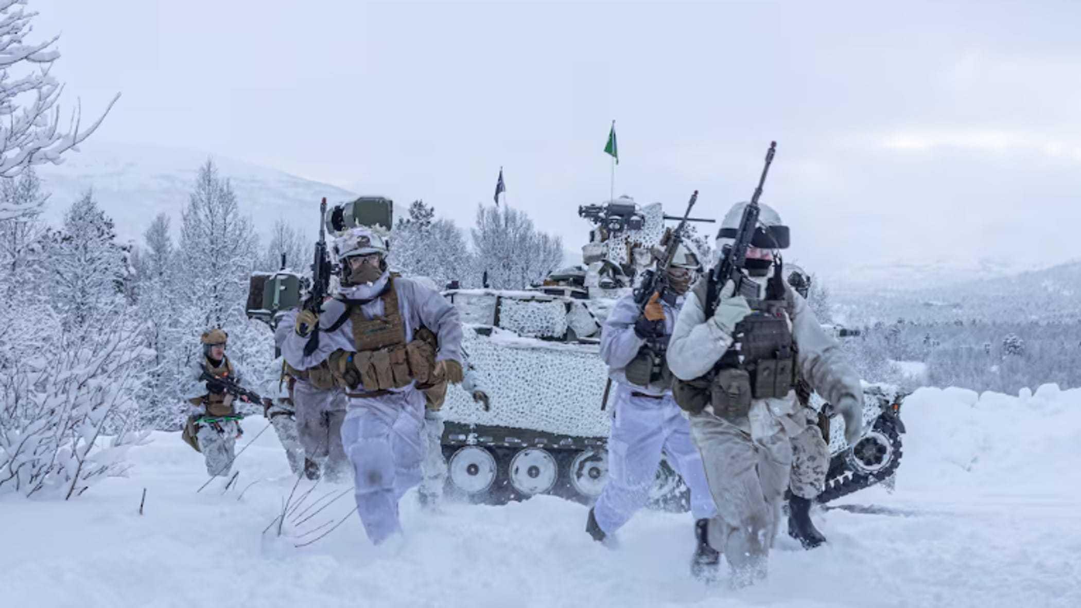 marines americani che figuraccia alle esercitazioni nato con gli scarponi rotti da Repubblica.it marines americani che figuraccia alle esercitazioni nato con gli scarponi rotti