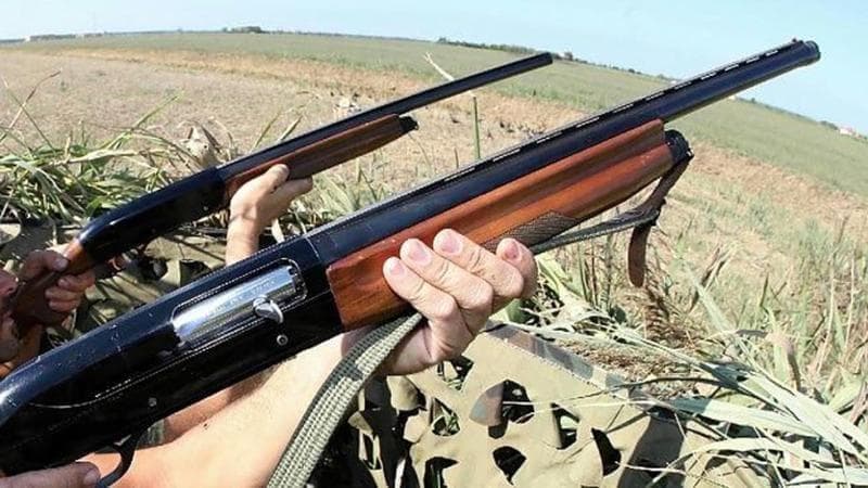 Domani riapre la caccia per 430 mila. Gli ambientalisti: “A novembre la nuova legge distruttiva”