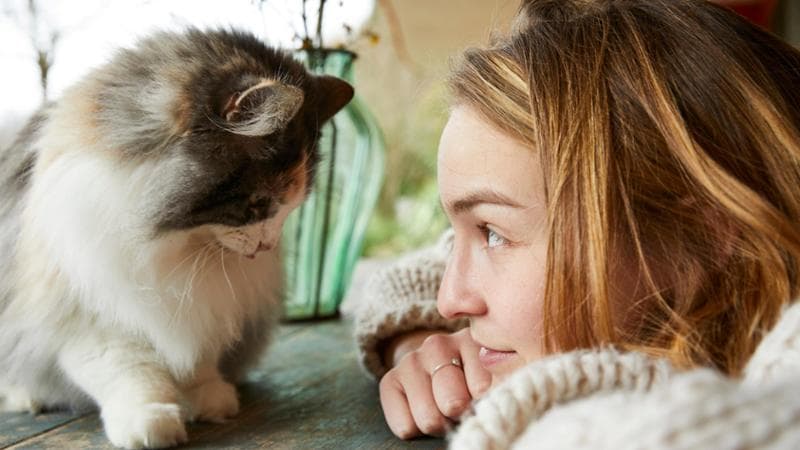 Animali da compagnia, per 8 proprietari su 10 la relazione con il proprio pet passa dal digitale