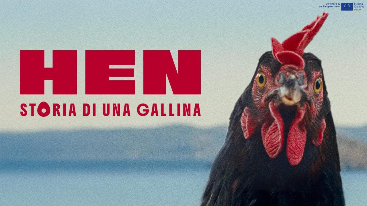 Hen - Storia di una gallina, guarda il mondo da un’altra prospettiva. Su MYmovies ONE