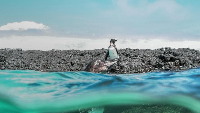 Classifica Best in Travel: le 50 mete di Lonely Planet per il 2027