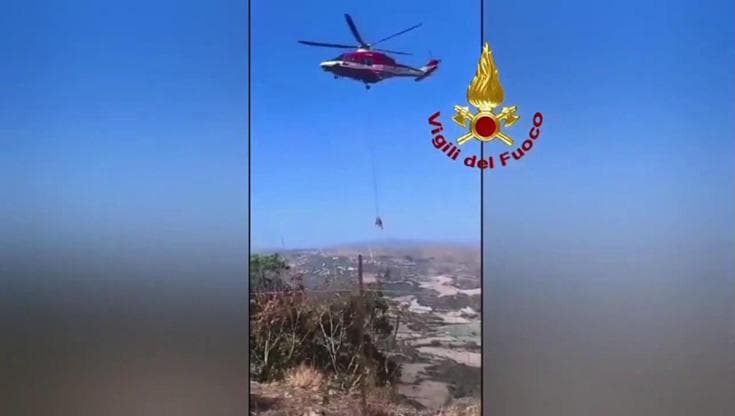 Il giro in elicottero del vitello salvato dal dirupo