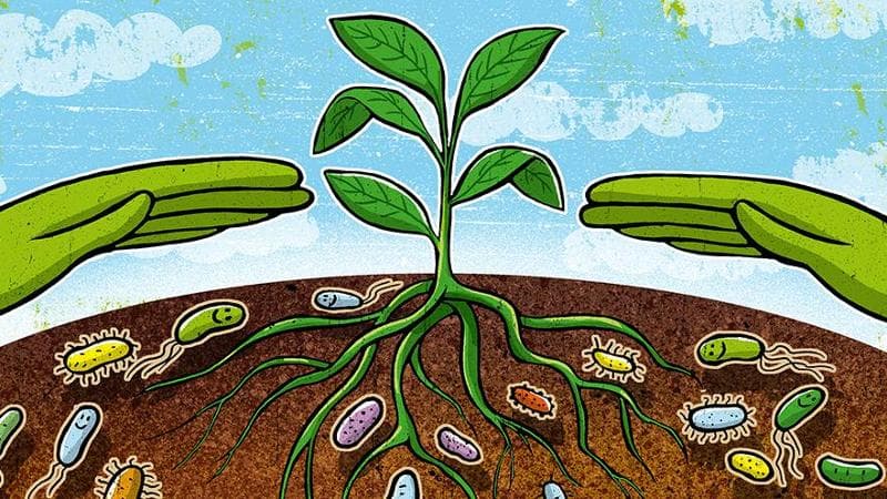 Gassmann: il fertilizzante che fa bene alla terra