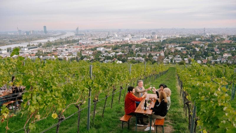 Degustazioni a Vienna