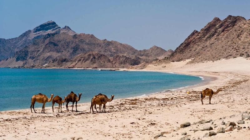 Il mare in Oman
