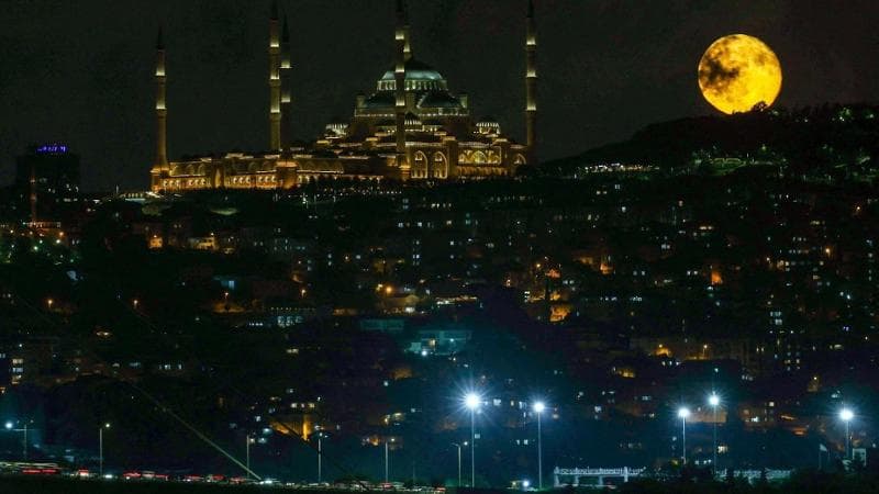 Murad Sezer / Reuters