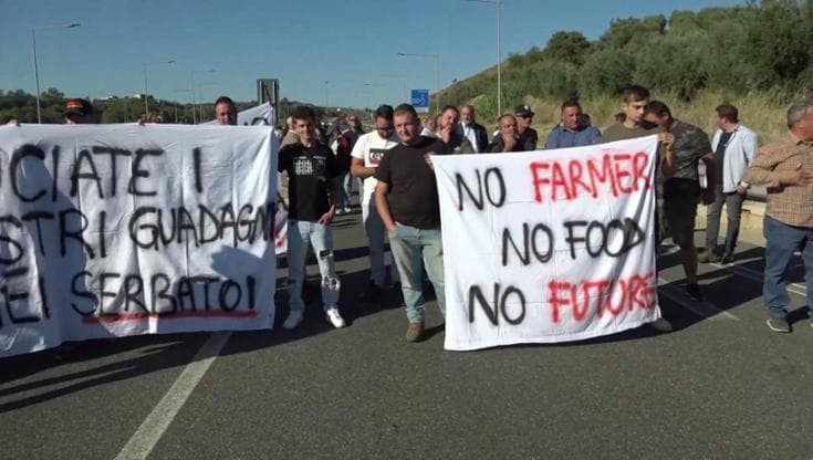 Caro carburanti, agricoltori calabresi: "Servono 1400 litri di gasolio al giorno, saltano le semine"