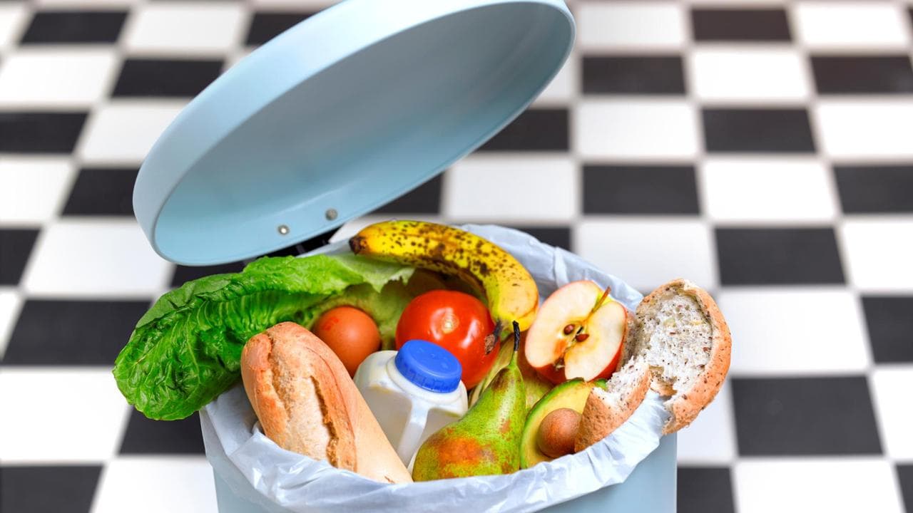 Giornata contro lo spreco alimentare, 8,1 milioni di tonnellate di cibo gettate ogni anno in Italia