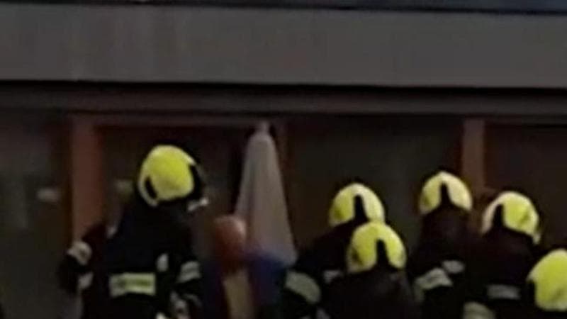 Alto Adige, mucca finisce in una piscina di un hotel benessere in val Venosta: il salvataggio
