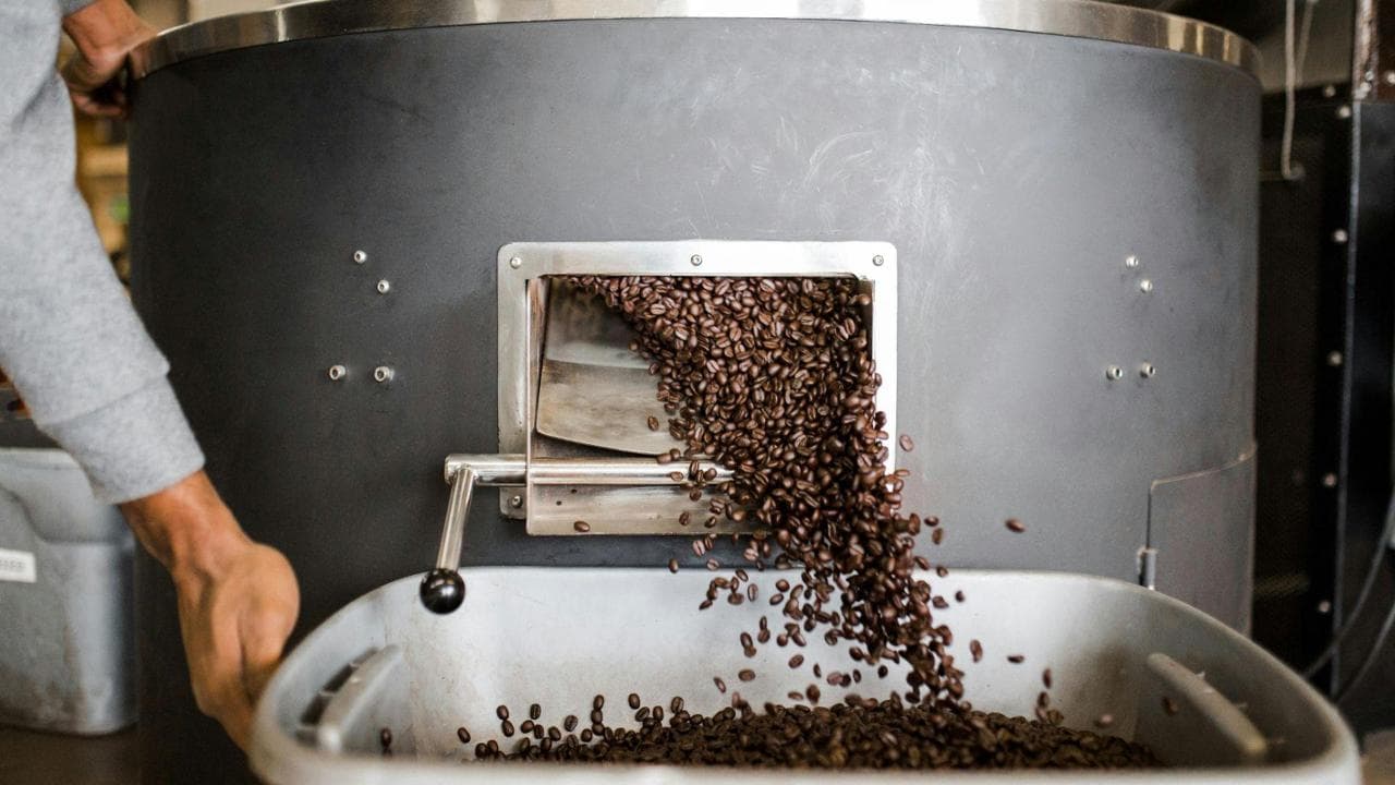 Caffè: la filiera italiana vale 5,9 miliardi di euro e guarda all’Africa