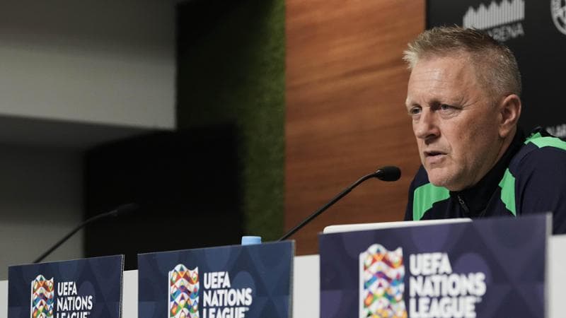 Heimir Hallgrímsson, ct Irlanda