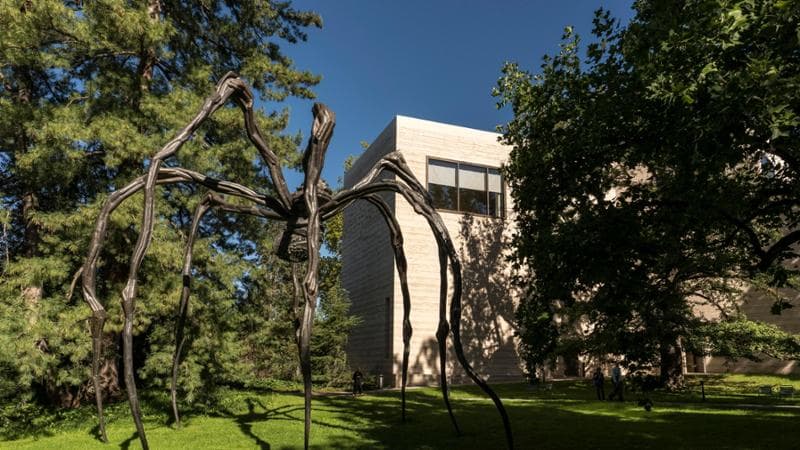 La Fondazione Beyeler, tempio dell’arte contemporanea, moltiplica la bellezza