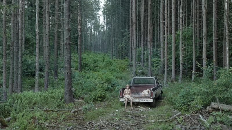 Pickup Truck (2014)
