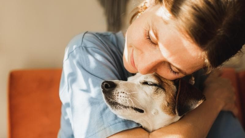 Pets e alimentazione, il benessere passa dalla ciotola