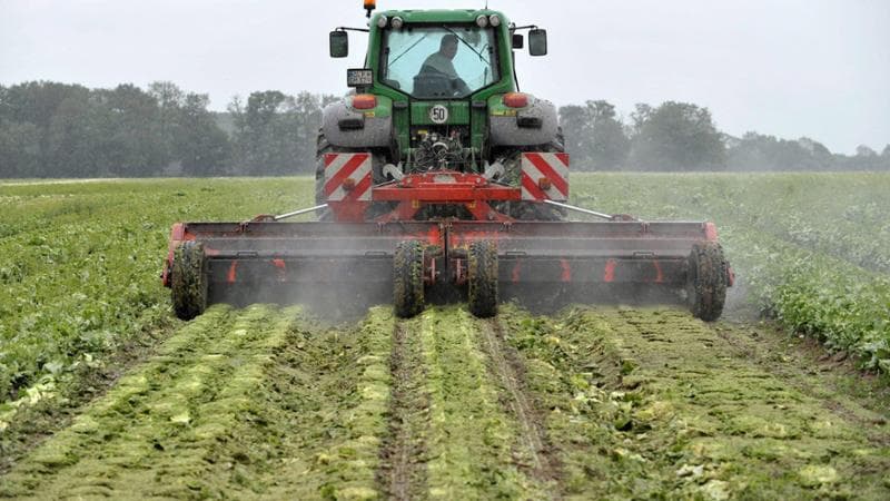 Più robot sui campi contro il calo addetti: così l’automazione cambia l’agricoltura