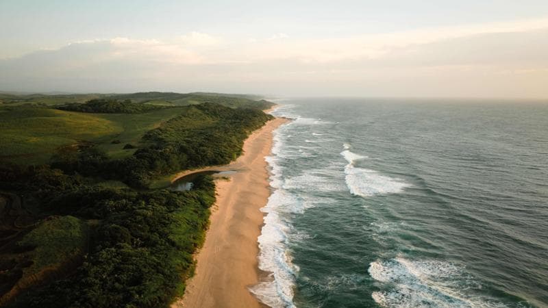 Sudafrica, surf e safari. Una vacanza  con i piedi nell’Oceano Indiano e lo sguardo verso la savana