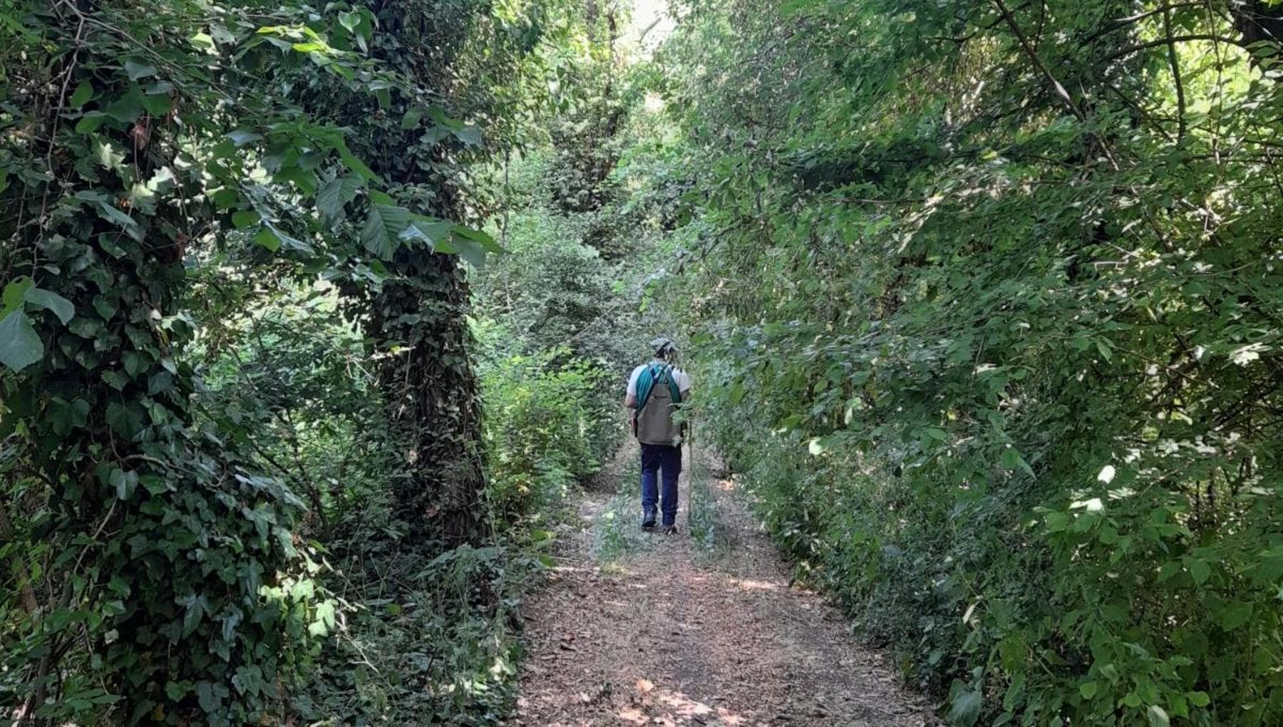Piano B, Giuseppe: “Per 23 anni operaio in un salumificio. Poi nel bosco ho trovato il mio tesoro”