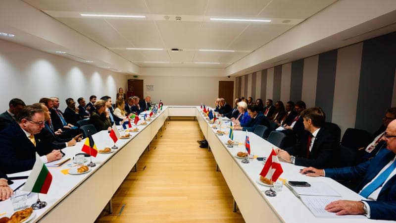 Il Consiglio europeo