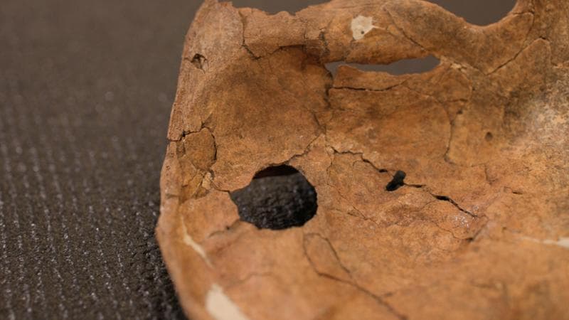 Era il Neanderthal più amato. È giallo sul primo colpo di lancia della storia che lo ha ucciso