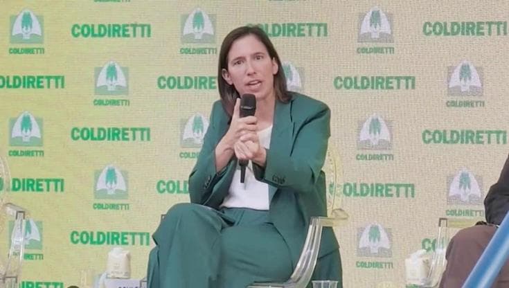 Scontri a Milano, Schlein: "Se Crosetto ha informazioni su guerra ibrida riferisca in Parlamento"