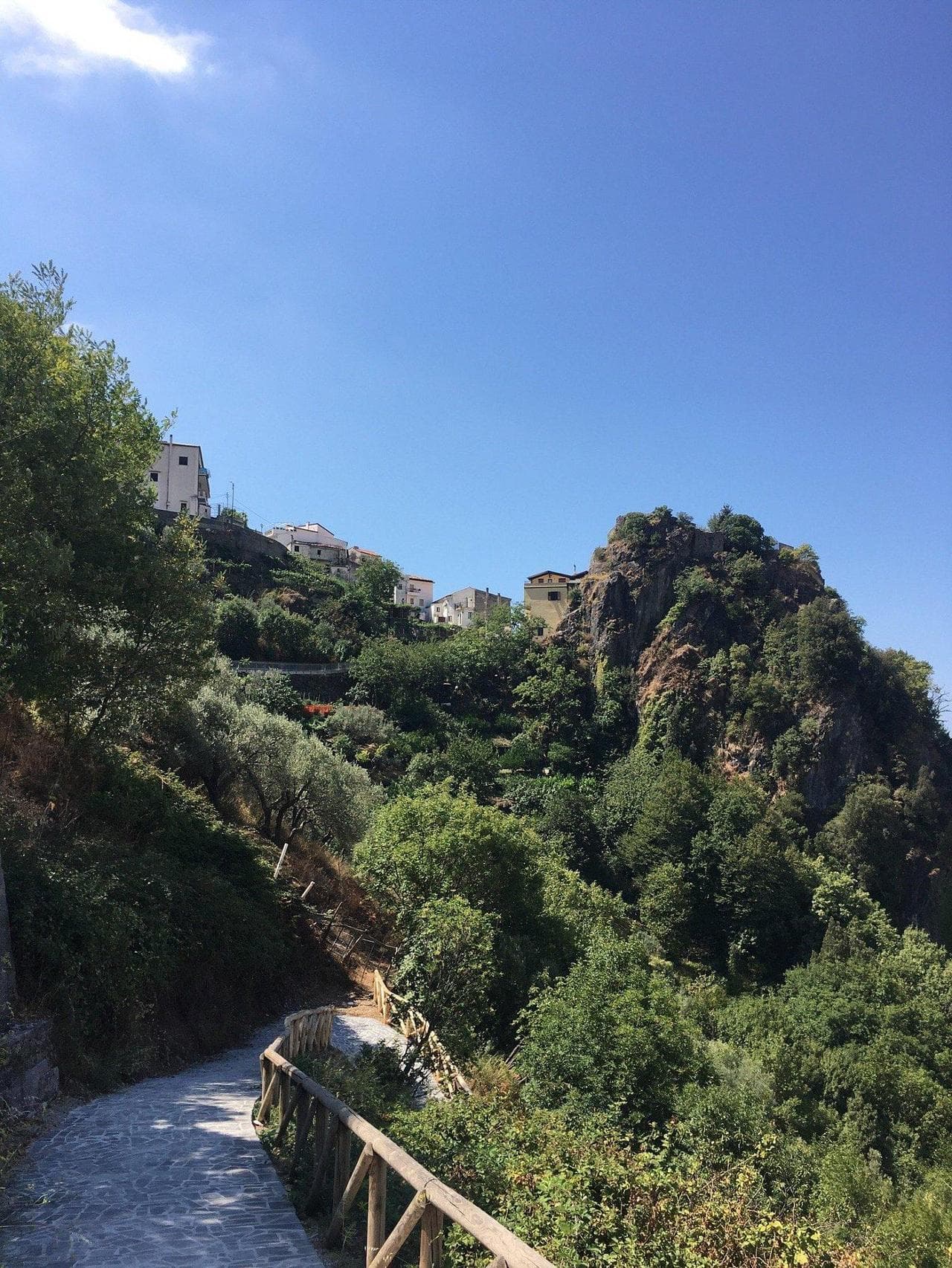 Buonvicino