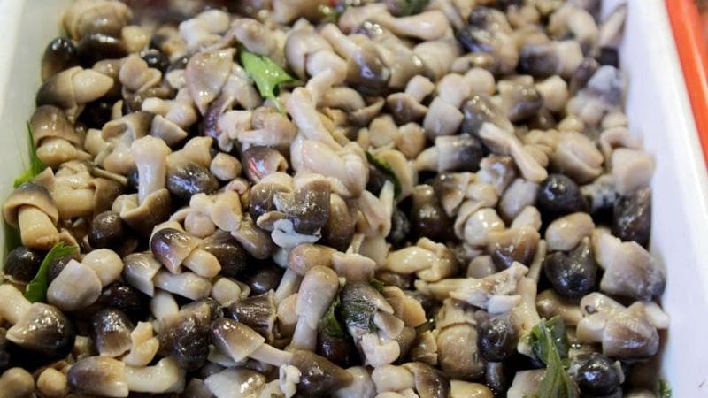 Chiodini mushrooms