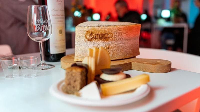 Valtellina Casera Dop, al via Tivac: la ricerca per innovare la filiera senza perdere la tipicità