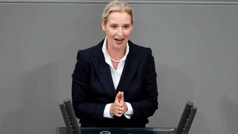 Il gas russo, il Green Deal, il riarmo, l’Ue “circo da chiudere”: l’Europa del futuro secondo l’Afd