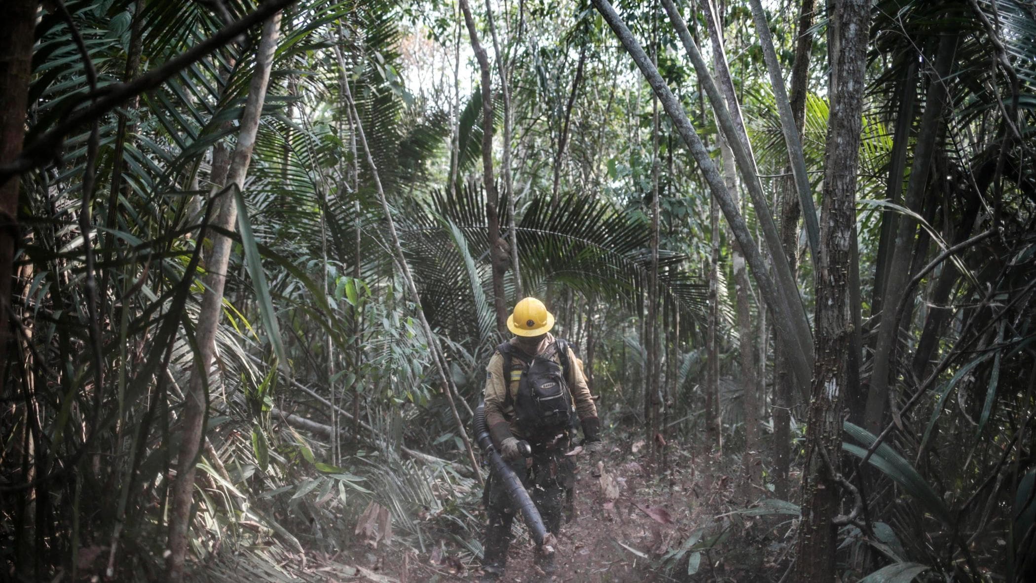 Brasile, l’ultradestra prepara il nuovo assalto all’Amazzonia: “Più pascoli e meno alberi”