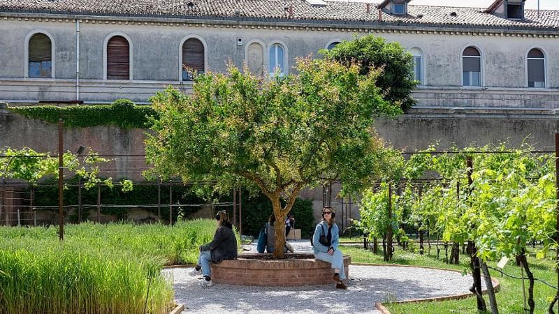 Durante a 61ª Exposição Internacional de Arte - La Biennale di Venezia (La Biennale di Venezia), os visitantes visitam o Pavilhão da Santa Sé intitulado 