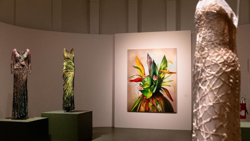 A view of the “Aura” exhibition