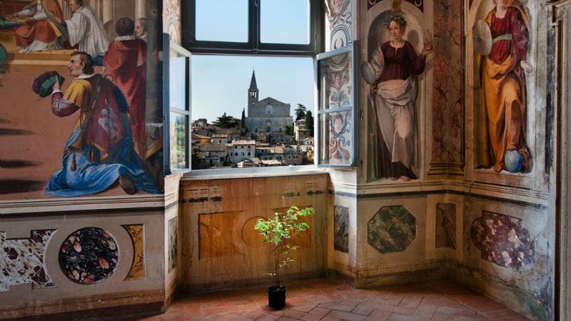 Todi immortalato da Steve McCurry da una finestra di Palazzo Cesi
