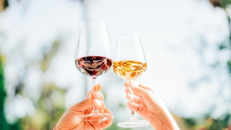 Chi compra il vino dealcolato e chi lo frena: il mercato visto da Hofstätter