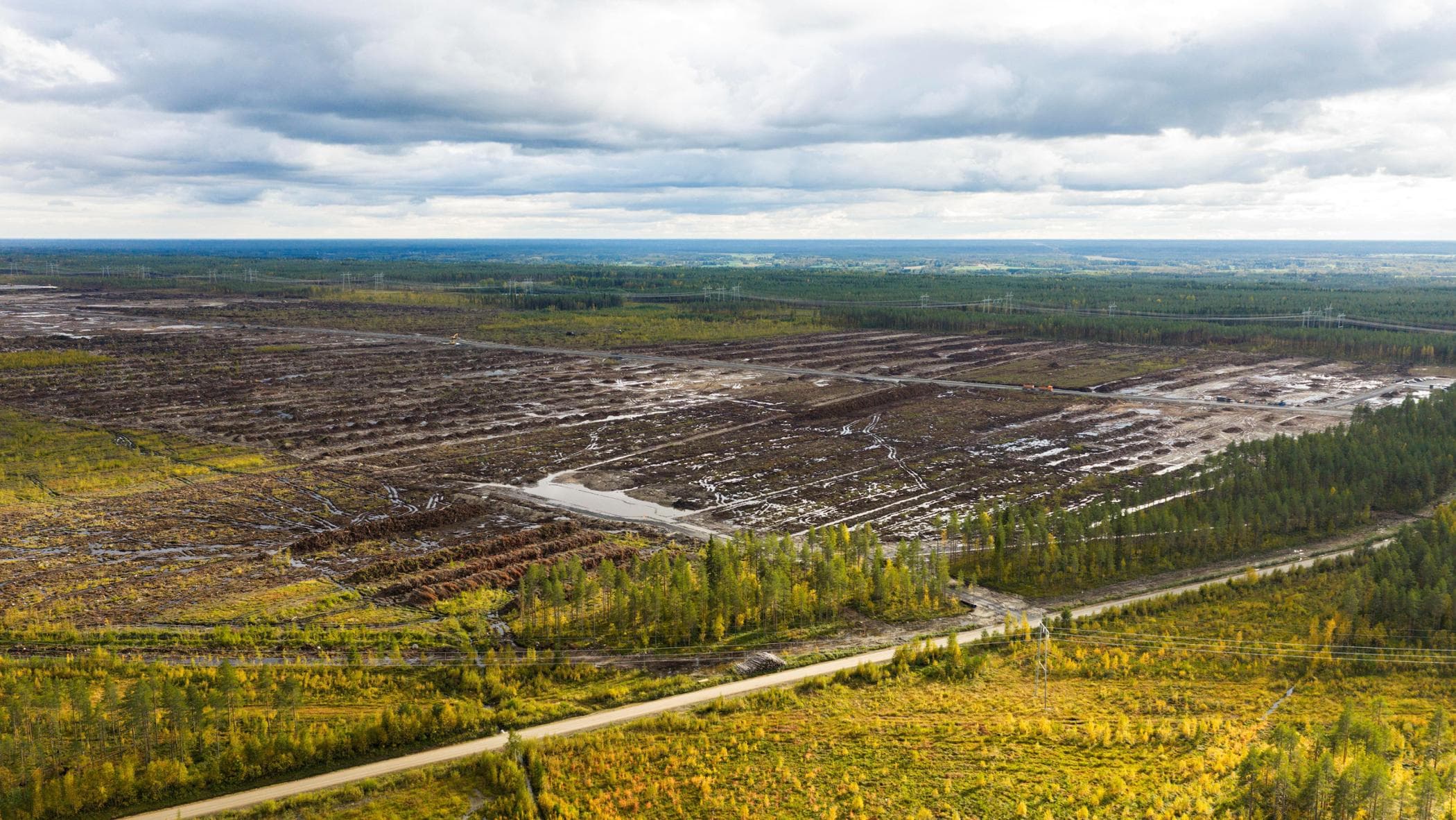 finlandia gli ambientalisti fermano google chiuso il data centre che aveva disboscato la foresta da Repubblica.it finlandia gli ambientalisti fermano google chiuso il data centre che aveva disboscato la foresta