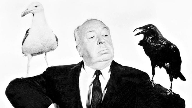 “Gli uccelli” di Alfred Hitchcock diventerà una miniserie con Sarah Snook