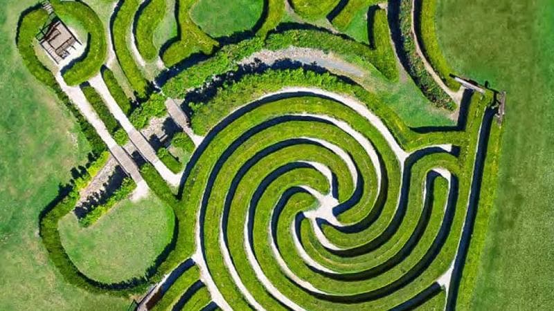 Bago Maze, Herons Creek, Australia
