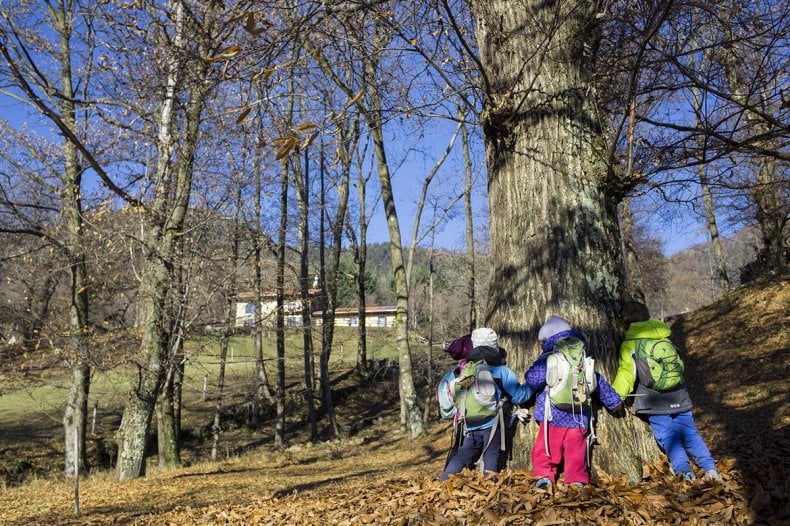 Ci Sono Andata Apposta Nel Bosco