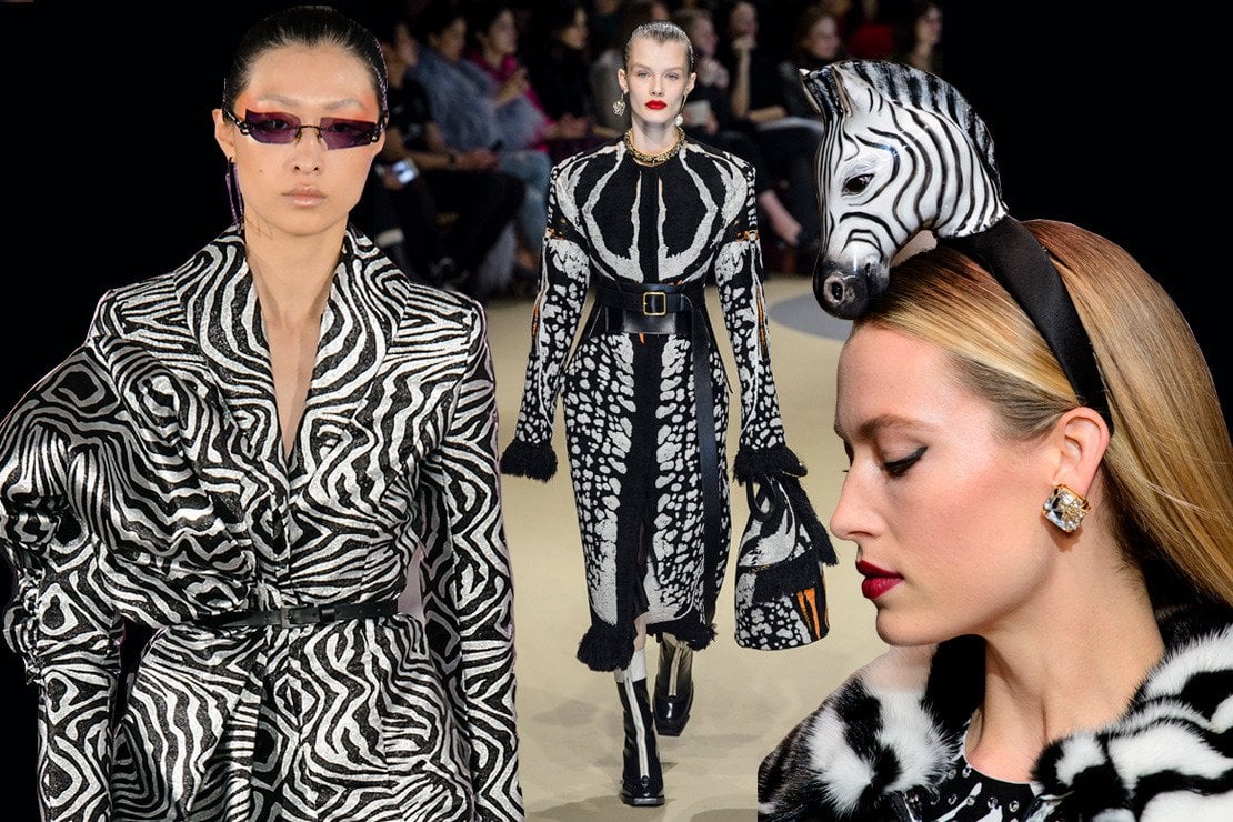 Fantasie Zebrate Il Nuovo Bianco E Nero Moda Dit