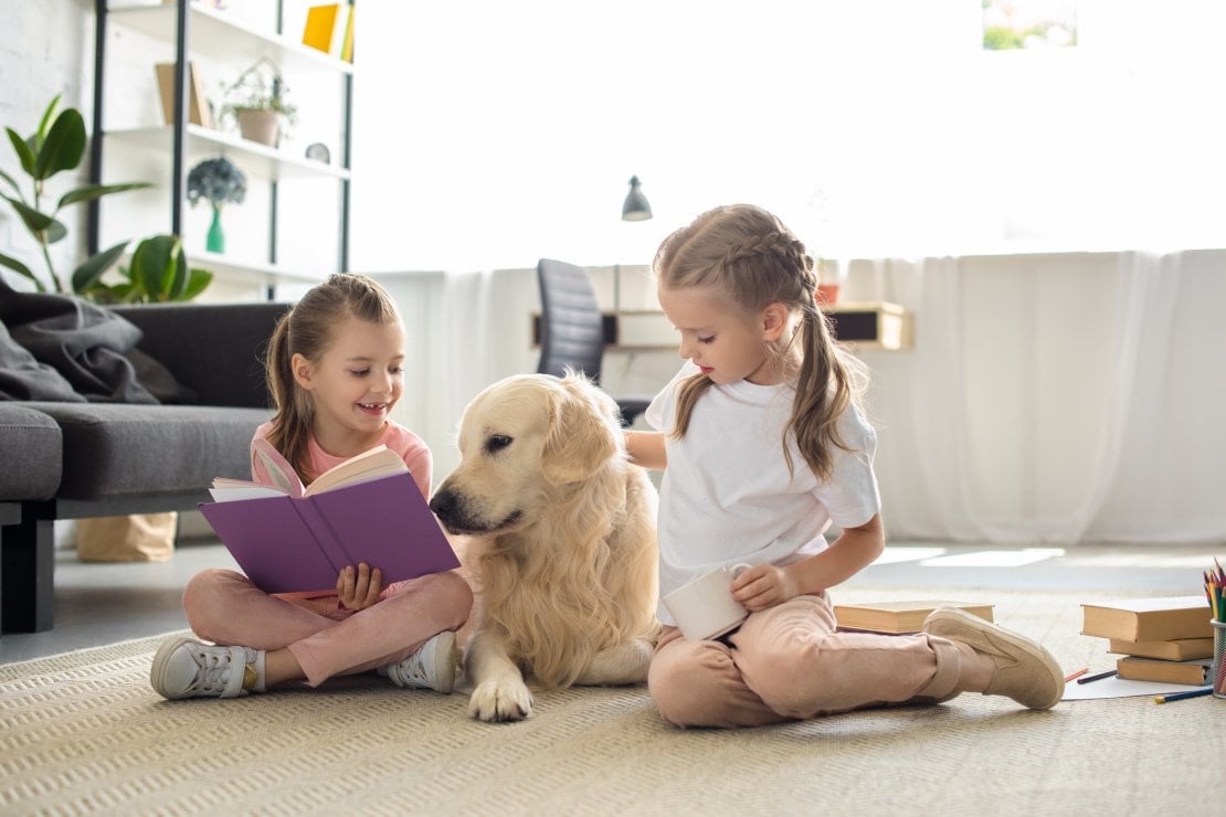 Gli animali in casa fanno bene a grandi e piccini - Lifestyle - D.it