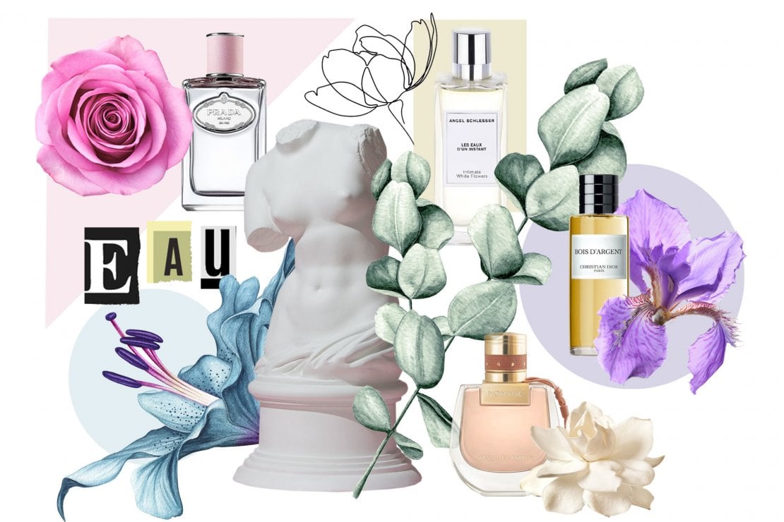 Profumi estivi dalle note floreali: una fragranza per ogni fiore - la  Repubblica