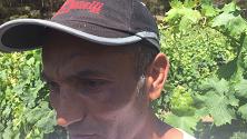 Da detenuti a viticoltori: Gorgona, il vino che fa bene