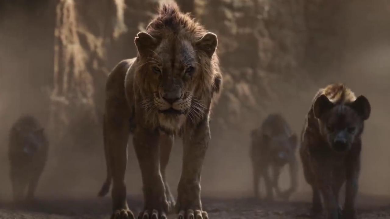 il leone si è addormentato timon e pumbaa