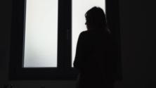 I predatori dell'Accademia - la Repubblica