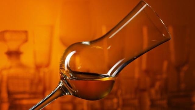 La nuova sfida della grappa. Pilzer: "Non è un distillato da uomini, basta pregiudizi"