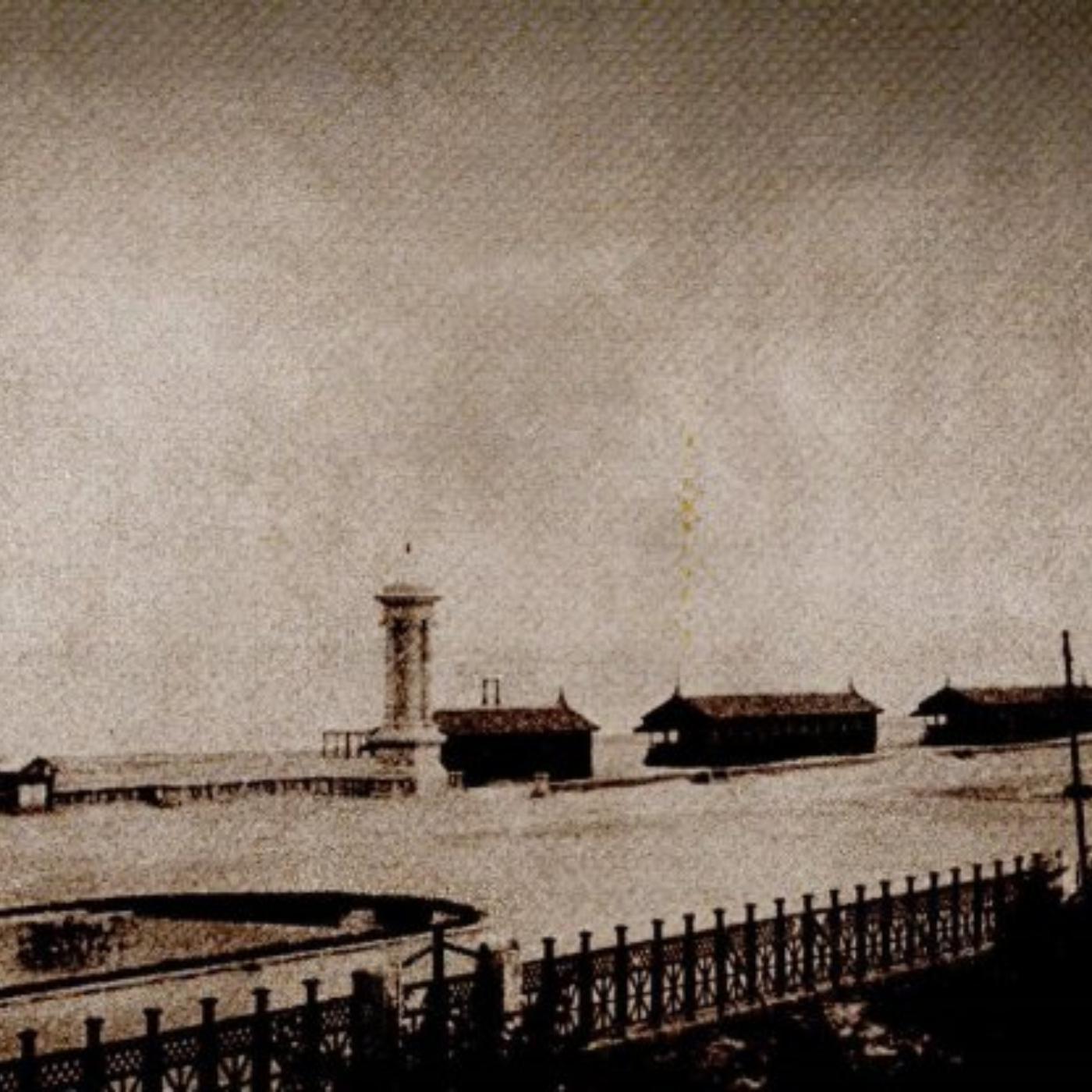 65. Morte nella pineta