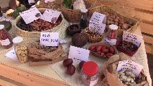 Così a Terra Madre si può mangiare gluten free