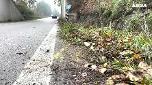 Umbria, incidente a San Giustino: auto fuori strada, morti quattro ...