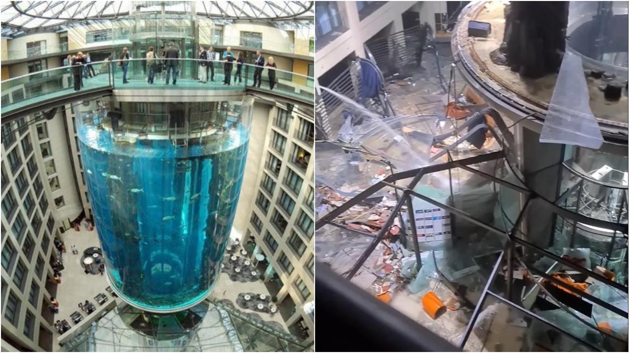 Berlino, esplode enorme acquario con 1500 pesci, strade allagate e ...