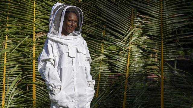 Fermare la deforestazione delle mangrovie per aiutare il Pianeta