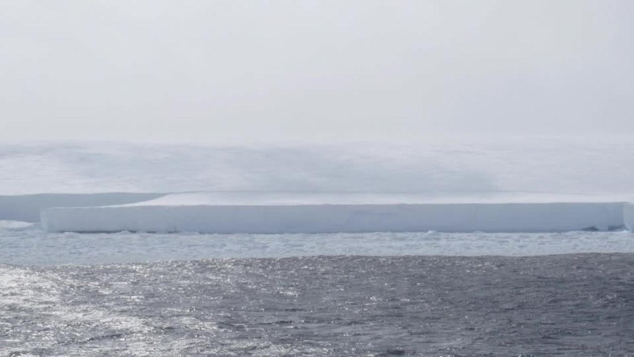Il video dell'iceberg più grande del mondo: 4mila chilometri quadrati ...